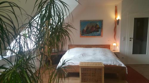 Ferienwohnung Seeblick