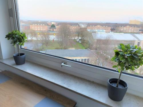 Ferienwohnung Seestern 78
