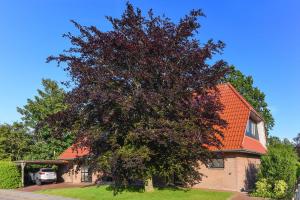 Ferienwohnung Sonnenblume