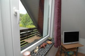 Appartement Ferienwohnung Sonneneck 2 Glogauer Strasse 37412 Scharzfeld Basse-Saxe