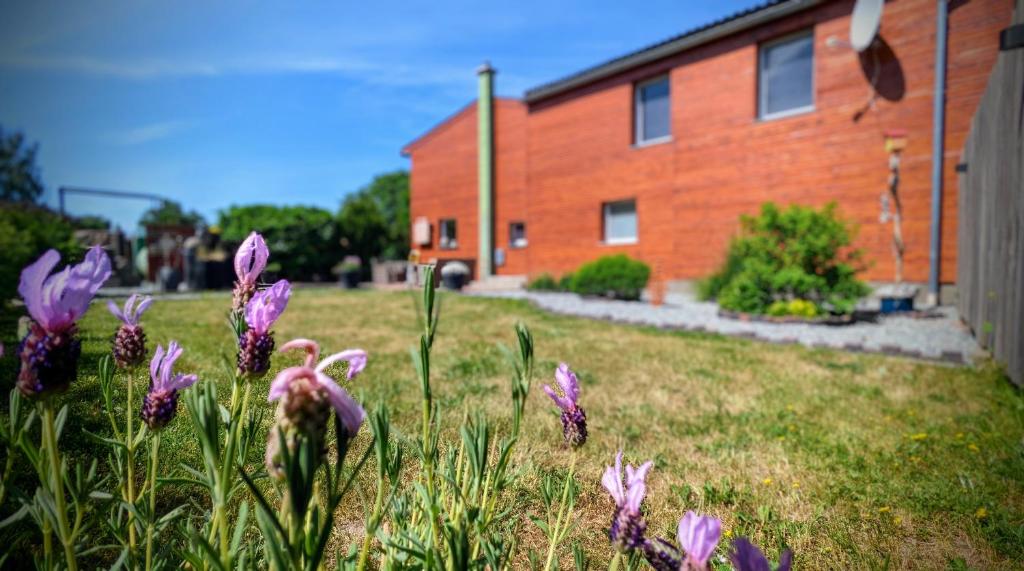 Ferienwohnung Sophia 32 Dorfstraße Nebengebäude, 18299 Liessow