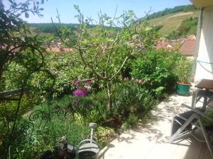 Appartement Ferienwohnung Späth 23 Kirchgasse 97729 Ramsthal Bavière