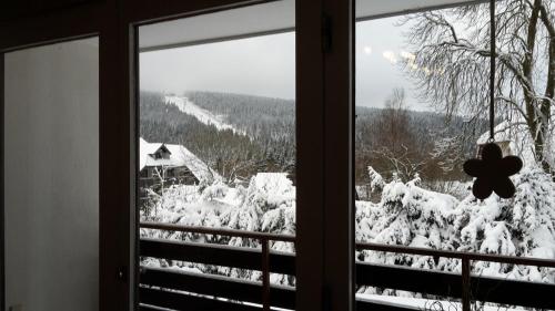 Ferienwohnung Steffens Hahnenklee Wohnung 25