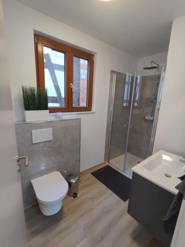 Appartement Ferienwohnung Steigner 55 Hauptstraße 76889 Dierbach Rhénanie-Palatinat