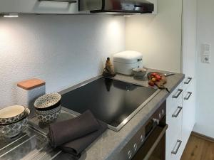 Ferienwohnung Sterntaucher