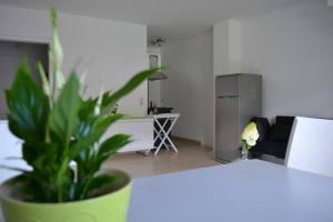 Appartement Ferienwohnung Stimmer 14 Schmölzstraße 82491 Grainau Bavière