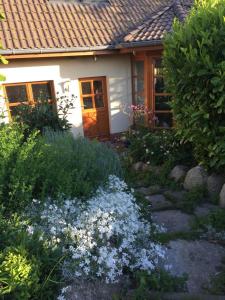 Ferienwohnung Stockrose