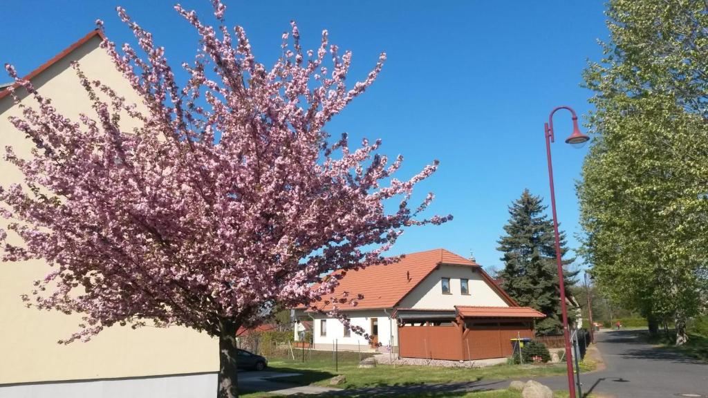 Ferienwohnung Störmthaler See 3A  Bäckergasse, 04463 Großpösna