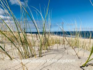 Ferienwohnung Stranddistel