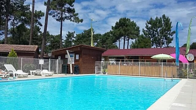 Ferienwohnung-Strandflieder