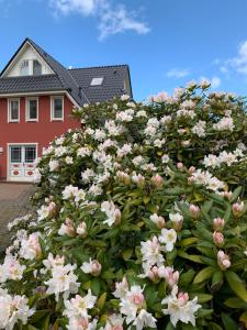 Ferienwohnung Strandgut - Kavelweg 9 - Zingst