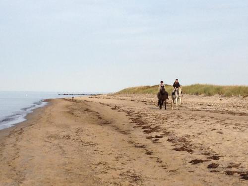 Ferienwohnung Strandläufer