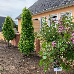 Ferienwohnung-Strandspaziergang, grosse Wohnung