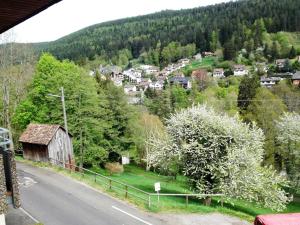 Appartement Ferienwohnung Talblick Jahnweg 6 75323 Bad Wildbad Bade-Wurtemberg