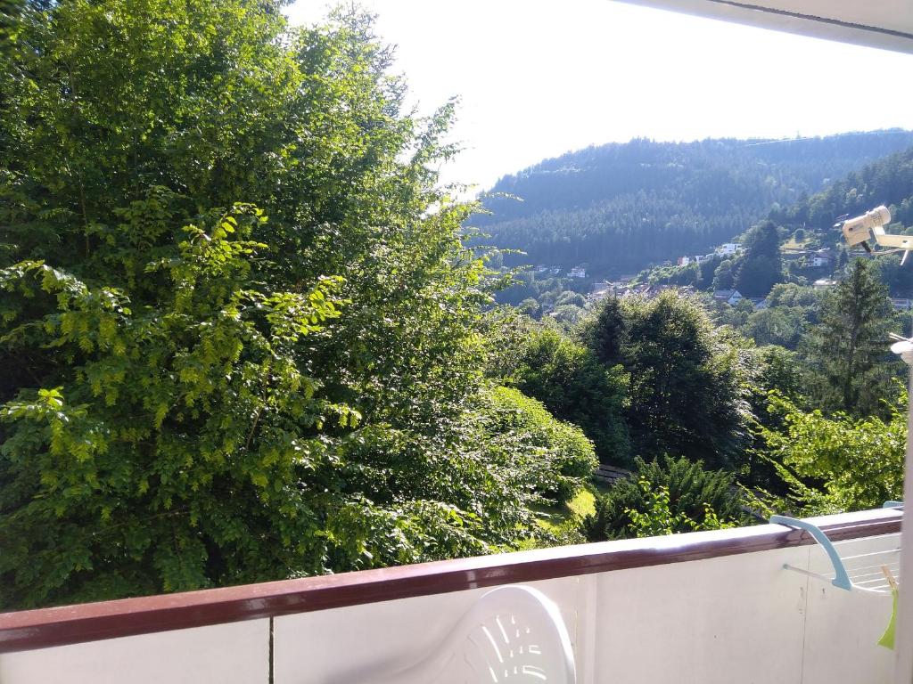 Appartement Ferienwohnung Tannenwald 28 Hohenackerstraße 75323 Bad Wildbad