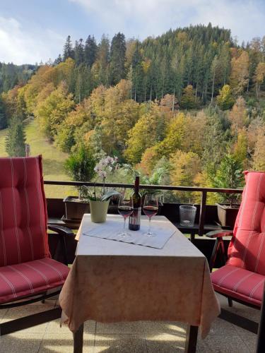 Ferienwohnung Tonbachtal