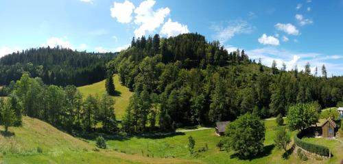 Ferienwohnung Tonbachtal