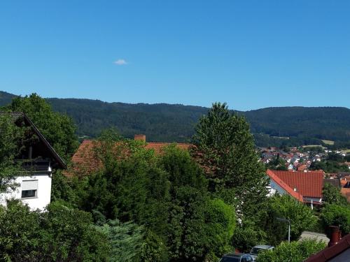 Ferienwohnung Trommblick - Natur Pur - Rimbach im Odenwald