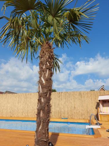 Ferienwohnung Uhlenbusch Paradise