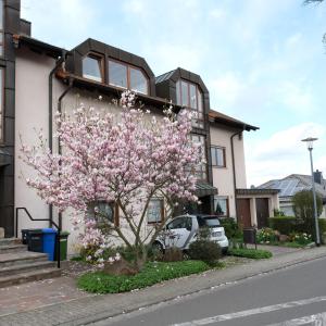 Appartement Ferienwohnung Unter dem Schwalbennest Burgunderweg 1A 67157 Wachenheim an der Weinstraße Rhénanie-Palatinat