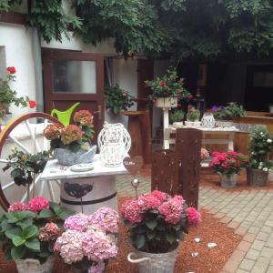 Appartement Ferienwohnung Uwe's Sporthütte Karl-Marx-Str. 33 06502 Thale Saxe-Anhalt