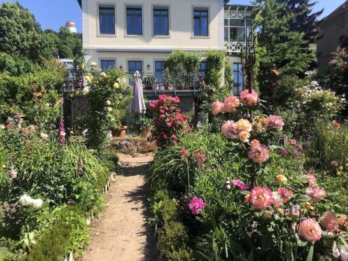 Ferienwohnung Villa Barbara auf der sächsischen Weinroute