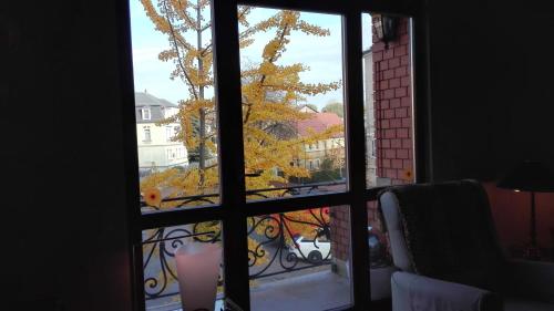 Ferienwohnung Villa Fiedler