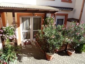 Ferienwohnung Vino Palatina