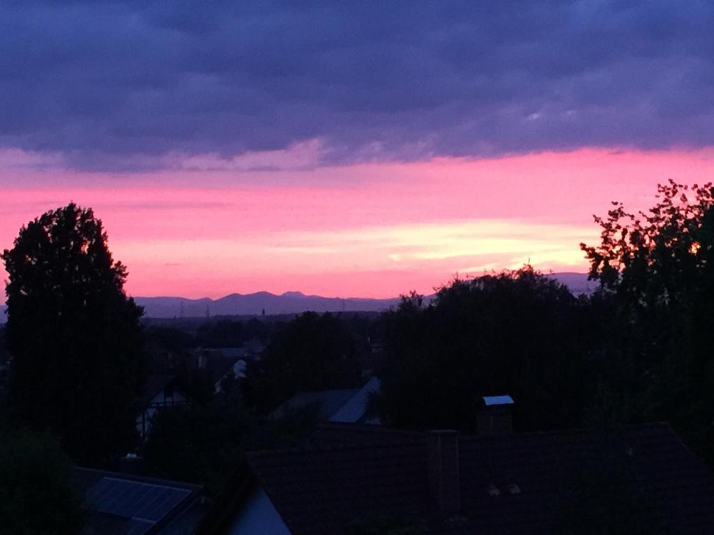 Ferienwohnung Vogesenblick Sonnhalde 22, 77972 Mahlberg