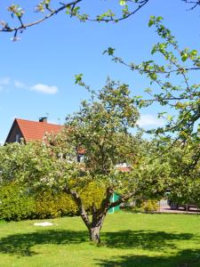 Ferienwohnung Waldblick Bückeburg