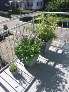 Ferienwohnung Walk