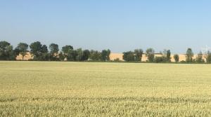 Ferienwohnung Walkershofen