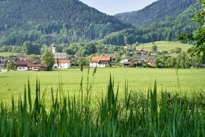Ferienwohnung Wallner