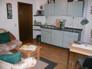 Appartement Ferienwohnung-Wasserfloh Klingenthaler Straße 6 08223 Mulde Saxe