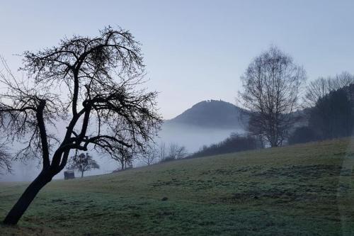 Ferienwohnung Wegelnburg im idyllischen Nothweiler für 2 Personen