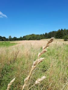 Ferienwohnung Weitblick