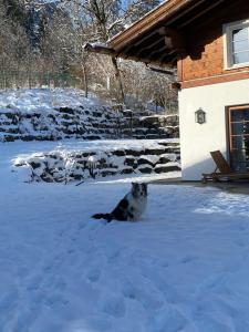 Ferienwohnung Weltcup in Ofterschwang