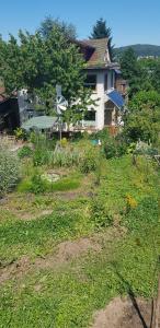 Ferienwohnung Wendel
