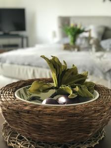 Ferienwohnung Weserblick-Hameln