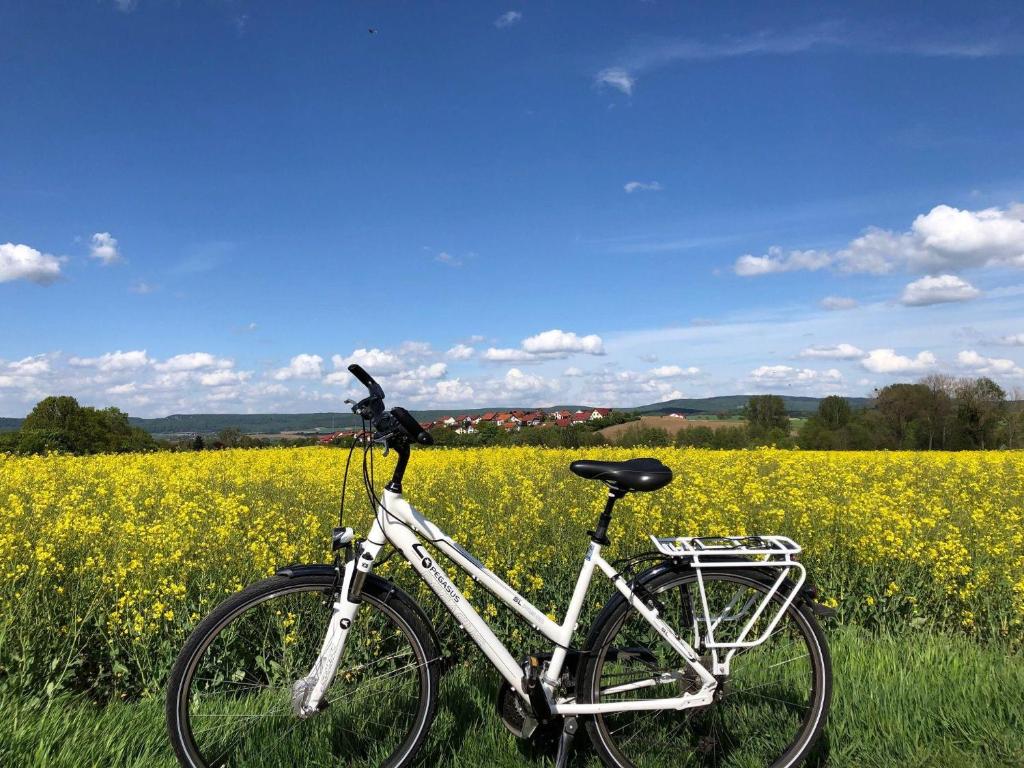 Ferienwohnung-Wesertal Arndtweg 3, 31785 Hameln