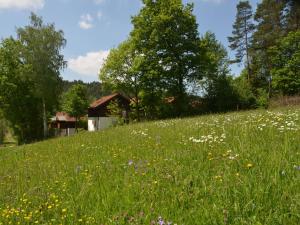 Ferienwohnung Wildgatter