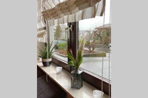 Ferienwohnung Wille
