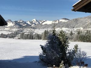 Ferienwohnung Winklblick
