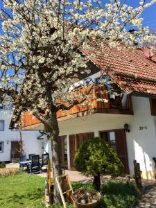 Ferienwohnung Wippenreute