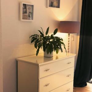 Ferienwohnung Wuppertal Ronsdorf Elias Eller