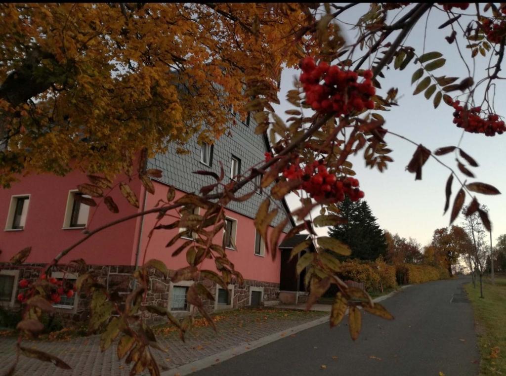 Ferienwohnung Zum Ausblick 1 Hochmoorweg, 01773 Kurort Altenberg