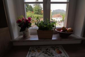 Ferienwohnung zum Bielatal
