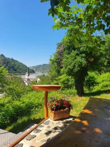 Appartement Ferienwohnung zum Rheinblick 50 Bergweg 56348 Kestert Rhénanie-Palatinat