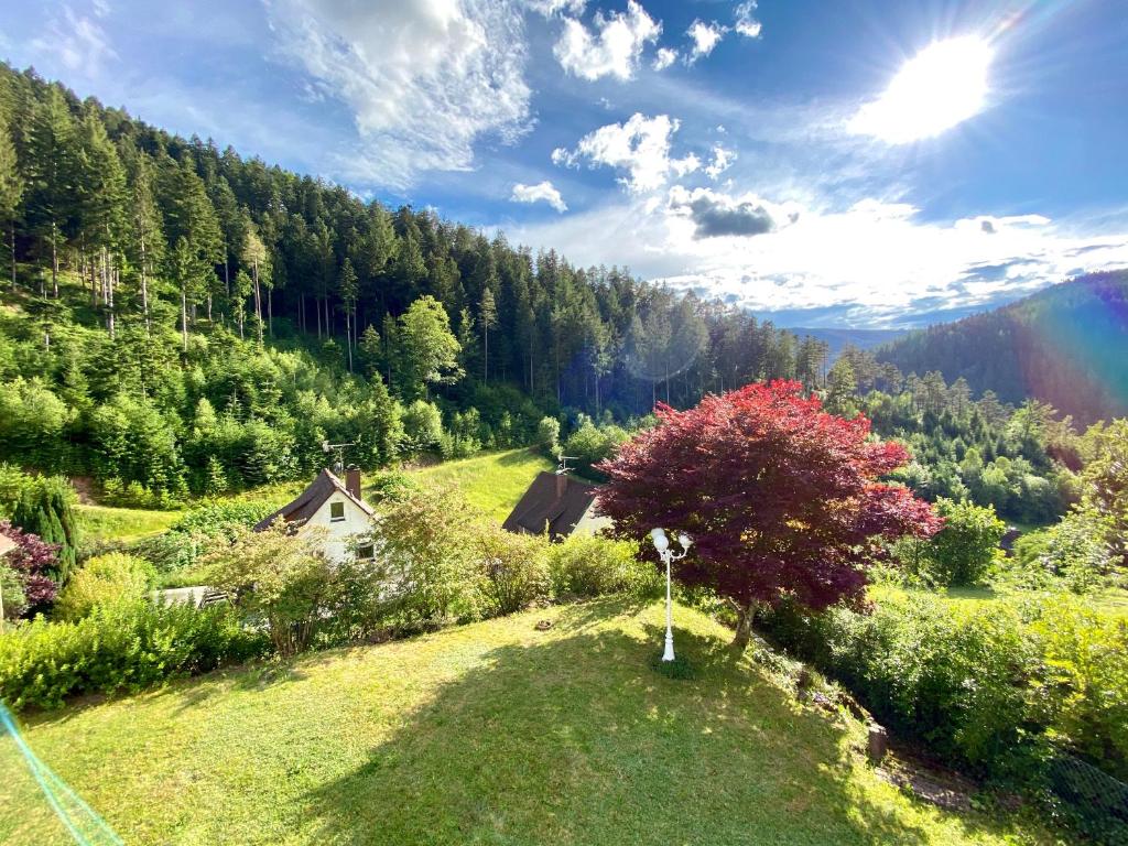 Appartement Ferienwohnung zur Bierliebe - Mit toller Aussicht im Herzen des Schwarzwaldes 59 Am Rubersbach 78132 Hornberg