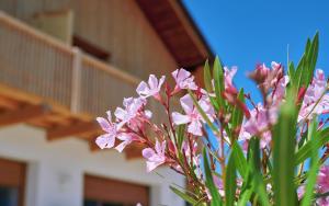 Ferienwohnung zwischen Burghausen und Salzburg